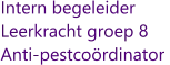 Intern begeleider Leerkracht groep 8 Anti-pestcoördinator