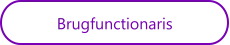 Brugfunctionaris